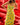 Amal Dress | Middleton Meadow-Sea Biscuit Del Mar