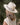 Harlow Long Brim Hat | Cream-Sea Biscuit Del Mar