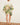 JUNGLE BOOGIE MINI DRESS | Multi-Sea Biscuit Del Mar