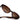 Sasha Sunnies-Sea Biscuit Del Mar