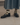The Great. | The Collegiate Sock-Sea Biscuit Del Mar