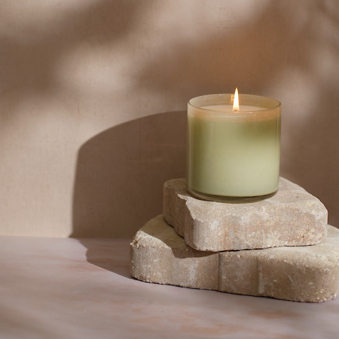 Wild Honeysuckle Classic Candle - Greenhouse-Sea Biscuit Del Mar