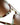 Zander Sunglasses | Tortoise