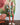 Tangible Love Mini Dress | Multi