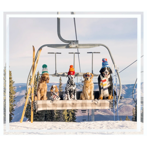 The Chairlift Pups Tray-Sea Biscuit Del Mar