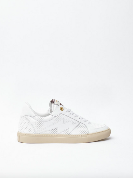 ZV1747 Punched Smooth Sneaker-Sea Biscuit Del Mar